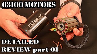 NEW 63100 motors by Flipsky 2021 [upl. by Ilera]