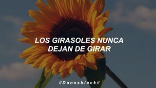 Luis Fonsi  Girasoles Letra [upl. by Girand]