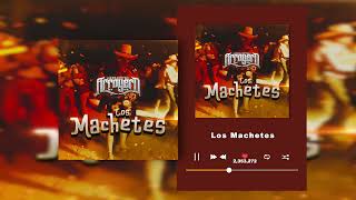 Conjunto Arroyero  Los Machetes Audio [upl. by Gore897]