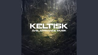 Keltisk avslappnande musik [upl. by Orel]