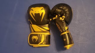 Review of the Venum Challenger 30 Mma Sparring Gloves [upl. by Eseer505]