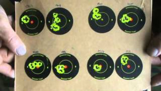 22lr RIMFIRE RIFLE SHOOTING CCi MINIMAG HIGH VELOCITY AMMO REVIEW [upl. by Eliam]