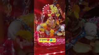 Vrindavan ke Banke Bihari🙏♥️🌎 trendingbhajan श्रीkrishna viralvideos [upl. by Ajiram793]