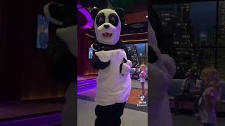 Learn to Dance Like Hashtag the Panda [upl. by Vona297]