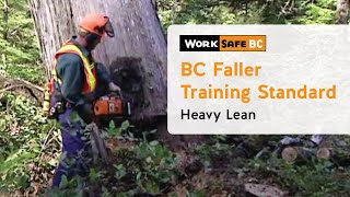 BC Faller Training Standard  Heavy Lean 12 of 17 [upl. by Parlin225]