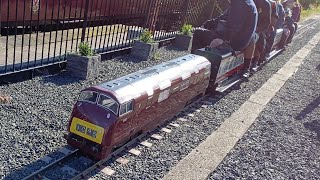 Little Warships and a Peak in the Severn Valley [upl. by Kornher314]