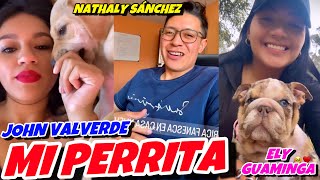 JOHN VALVERDE NATHALY SÁNCHEZ Y ELY GUAMINGA MI PERRITA [upl. by Ahsirkal]