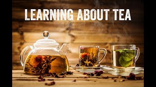 Understanding Tea with Don Mei [upl. by Hera]