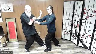 Prof Chengs 4 directions pushing hands method part 1 [upl. by Geordie]