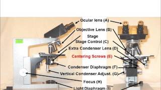 Intro to the Leitz Microscope 1 Components [upl. by Aihsoek]