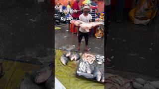 Rohu fish viralvideo fishcuttin fishcuting seafood seafoodrecipes [upl. by Ranip743]