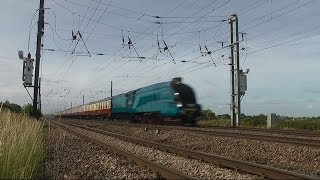 Bittern at 90mph  High Speed Steam Train [upl. by Tsai]