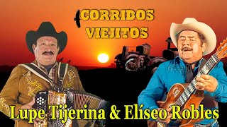 Elíseo Robles y Lupe Tijerina  Cadetes De Linares  Puros Corridos Viejitos  20 Éxitos [upl. by Nnylirej]