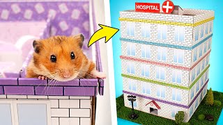 Domowej roboty pięciopoziomowy szpitallabirynt dla chomika 🐹🏥❤️ [upl. by Orpheus]