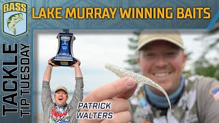 Patrick Walters most important Blueback Herring baits [upl. by Thier]