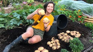 How to Grow Potatoes in Pots  Homegrown Garden [upl. by Middlesworth]