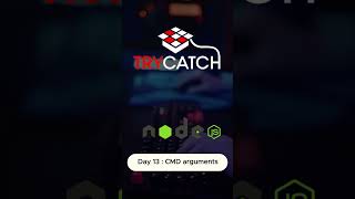 Day 13 Handling CommandLine Arguments in Nodejs NodeJS JavaScript CommandLineArguments [upl. by Eydie30]