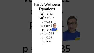 Hardy Weinberg Practice Problem [upl. by Enelrac]