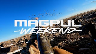 Magpul Weekend  Geese Hunt [upl. by Ostap]