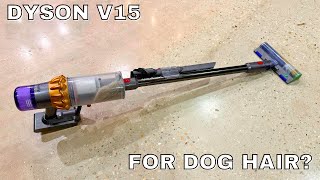 Dyson V15 Detect Cordless Vacuum Cleaner  Customer Review for Dog Hair [upl. by Rehotsirhc50]