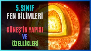 5SINIF  FEN BİLİMLERİ  GÜNEŞİN YAPISI VE ÖZELLİKLERİ eğitim [upl. by Harrietta]