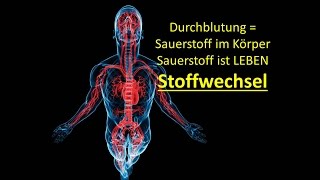 Wie funktioniert der Stoffwechsel  Einfach erklärt [upl. by Renaxela]