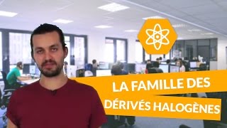 La famille des dérivés halogènes  Physiquechimie  TS  digiSchool [upl. by Heisel]