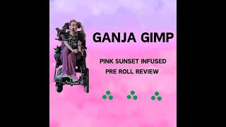 PINK SUNSET INFUSED PRE ROLLS REVIEW [upl. by Aihsenek257]