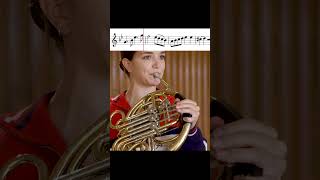 Mozart Horn Concerto No 4 – opening classicalmusic frenchhorn mozart horn [upl. by Aicnerolf]