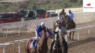 EL DON LOLO C SAN MARTIN VS EL 2020 C CENTINELA LA CACHANILLA RACE TRACK MEXICALI [upl. by Ailido]