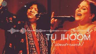 Tu Jhoom slowedreverb  Coke Studio season 14  Abida Parveen x Naseebo Lal  Noori Writes [upl. by Past190]