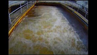 Sand Filter Backwash timelapse [upl. by Jacki]