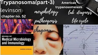 American Tryoanosomiasis Trypanosoma cruzimorphology life cycle pathogenesis lab diagnosis [upl. by Winton]