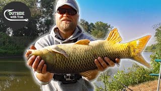 Why Hold a Fish Like THIS River Carp Fishing [upl. by Lora888]