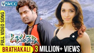 Oosaravelli Movie  Brathakali Video Song  Jr NTR  Tamannaah  DSP  Surender Reddy [upl. by Martsen200]