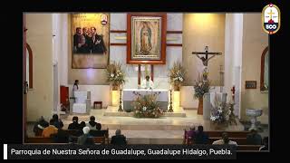 EN VIVO Celebración Eucarística Dedicación de la Basílica de Letrán [upl. by Notnyw]