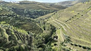 Terraces of the Douro Valley [upl. by Luttrell]