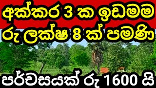 අක්කර 3 ම ලක්ෂ 8 කට  Land for sale in sri lanka Aduwata idam  Idam sale  Pol idam  Coconut land [upl. by Ettenaej]