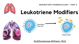 Leukotriene modifiers  Respiratory Pharmacology  Part 8 [upl. by Klaus]