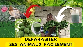 DÉPARASITER SES ANIMAUX SANS PRODUIT CHIMIQUE [upl. by Sarat]