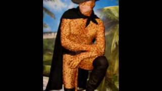 Zentai Leopard Puss in Boots Lycra Spandex Suit [upl. by Rodolph]