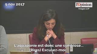 Lincontrôlable et délicieux fou rire dune députée à lAssemblée [upl. by Alaehs245]