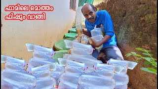 ഫാമിലെ മൊത്തം ഫിഷുകളെയും വാങ്ങി  Big Purchase Fish [upl. by Ylus]