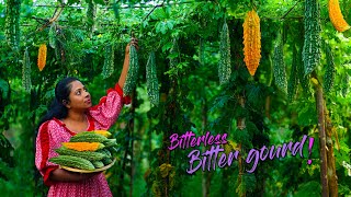 Cooking mission of making my Brother eats Bitter gourd by removing its bitterness  Traditional Me [upl. by Nyladnek10]