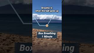 1 Minute Breathing Exercise Box Breathing [upl. by Schnell]