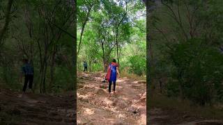 this location 👆🏻 naturelovers views village songadh songadhkilla youtubeshorts [upl. by Acimehs]