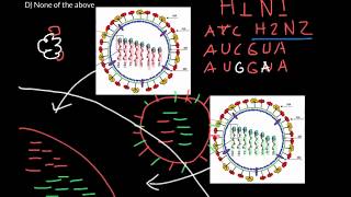 What is antigenic shift and drift [upl. by Mancino]