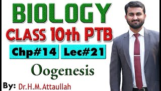 Oogenesis  Chapter  14  Biology Class 10th  Lec 21 [upl. by Trilly]