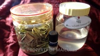 DIY Neem Infused Coconut Oil  How to make Neem Infused Coconut Oil [upl. by Irvine742]