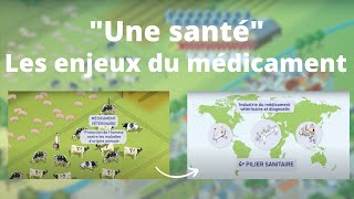 quotUne Santéquot  Les enjeux du médicament vétérinaire [upl. by Nyasuh840]